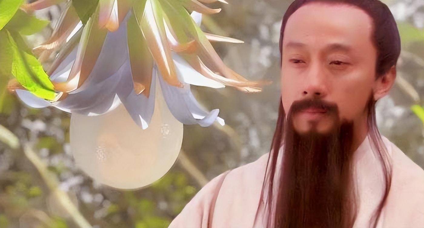 难怪没人敢打镇元大仙人参果的主意,你看妖精偷吃人参果是啥下场_法力