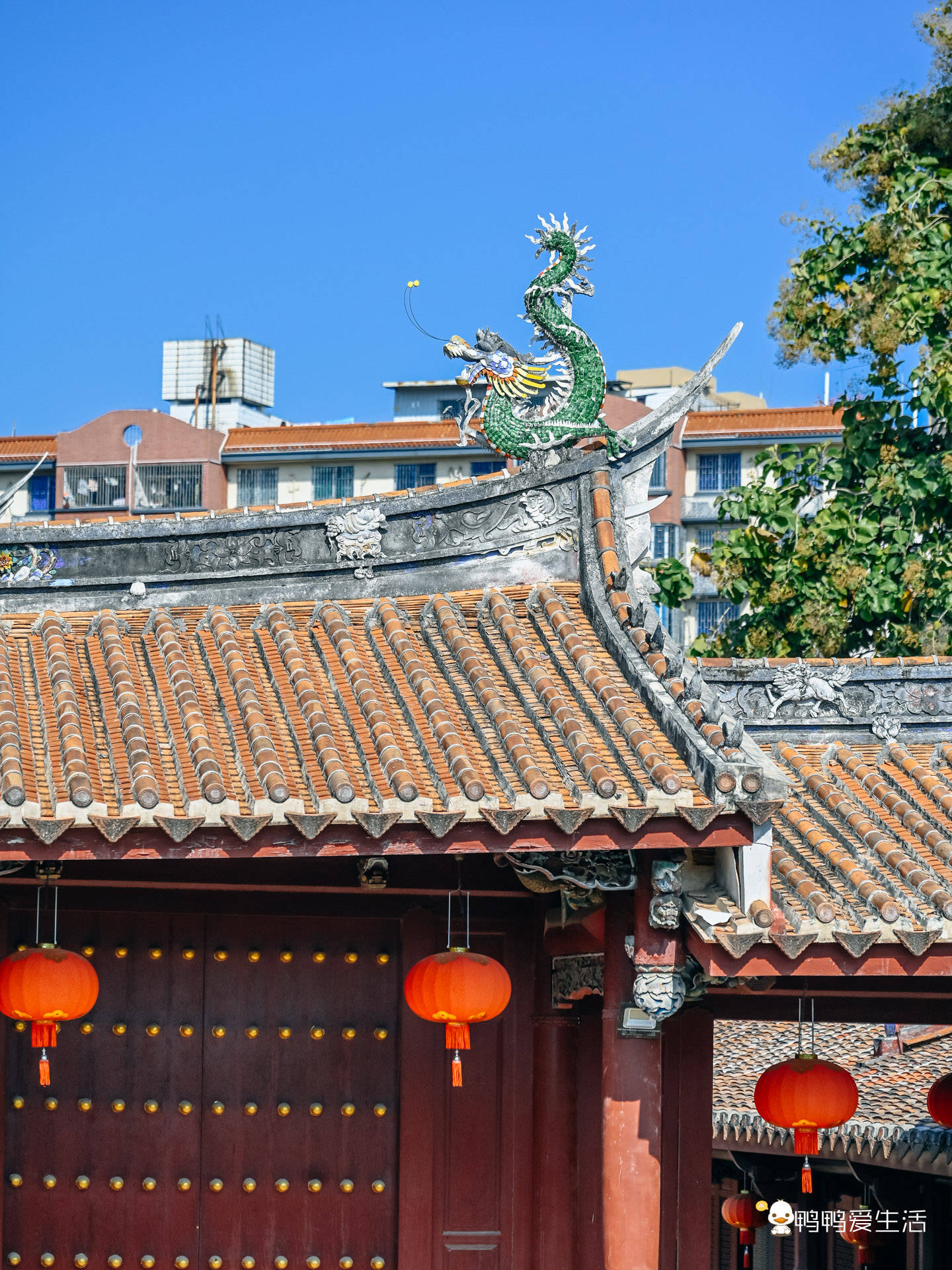 春节小众旅行之同安孔庙:在繁华中静守古城文脉,聆听世间万千!