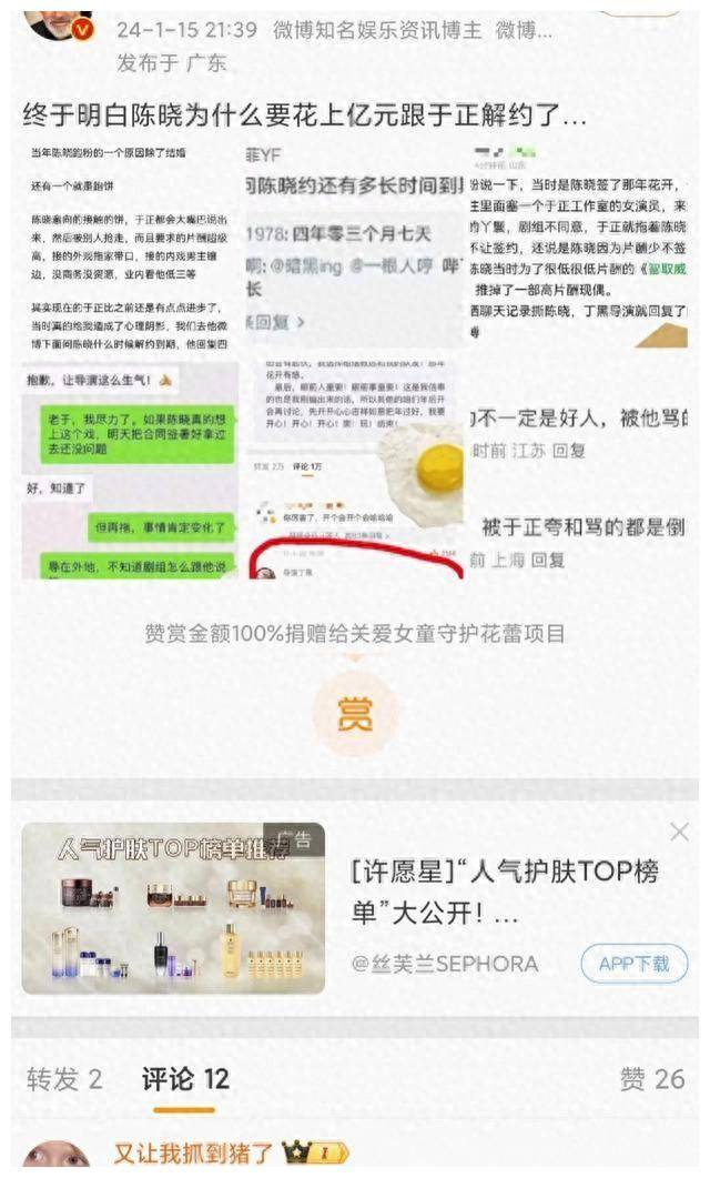 揭秘陈晓为何不惜重金与于正合作,令人拍案叫绝!_演艺