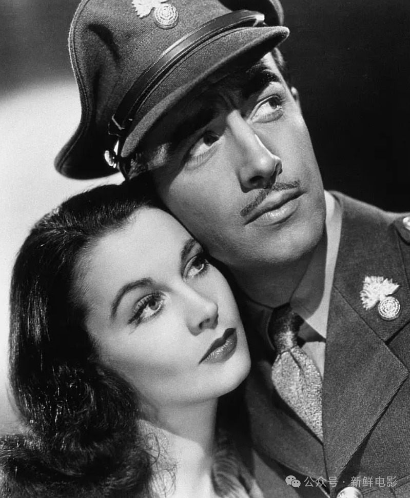 这个情人节,推荐5部超高分经典爱情电影,假期不片荒