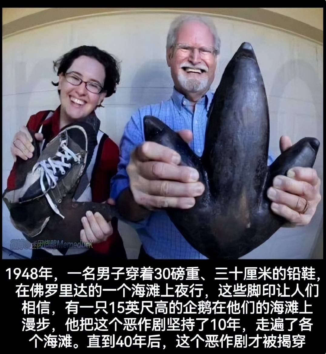 佛罗里达州不养闲人这个梗,和河南井盖一样,活成了