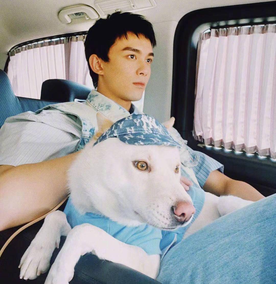 "人类高质量男性"吴磊:养成系兼实力派,又帅又暖谁不爱?