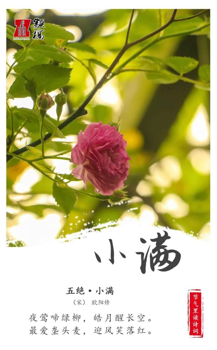 一节气一诗词,24张美图读懂节气里的独有景致_中国_历法_白露