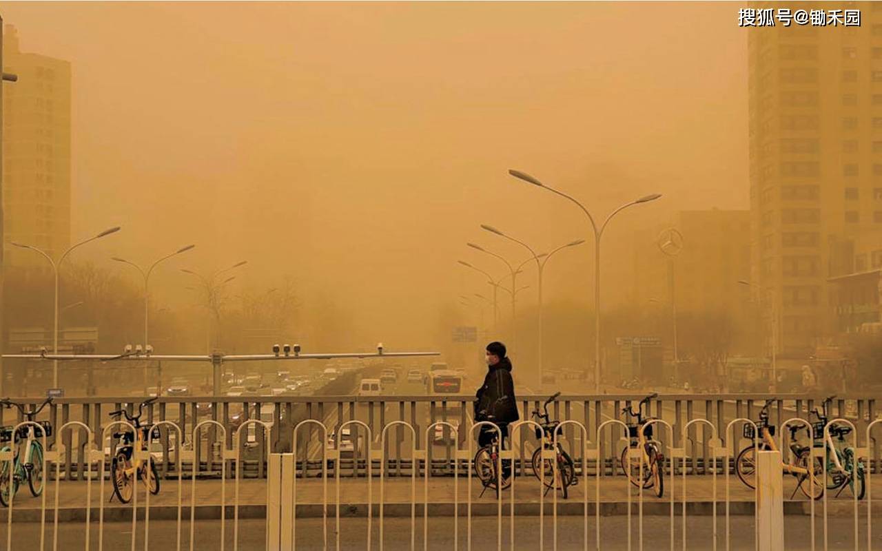 天气浮尘图片图片