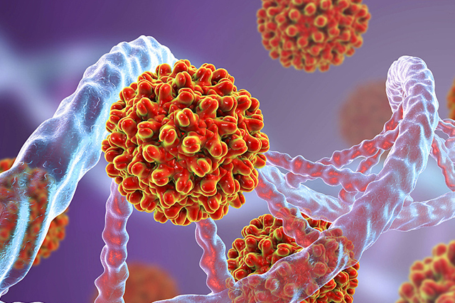 大三阳处于携带者状态,想降低病毒含量,医生:乙肝病毒会自己降_王晓娜