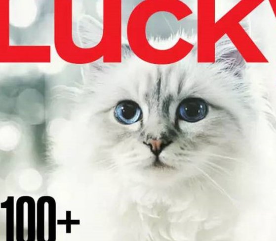 不过有专业的律师说可以让拉格斐的继承者写一份保证,保证秋比特能够