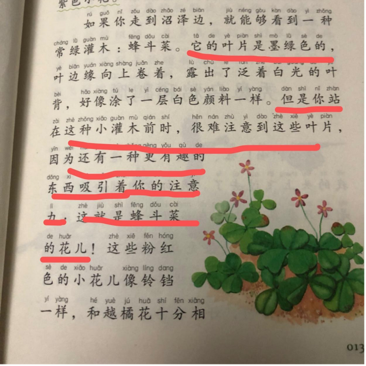 1. 如果你走到沼泽边,就能够看到一种常绿灌木:蜂斗菜.2.