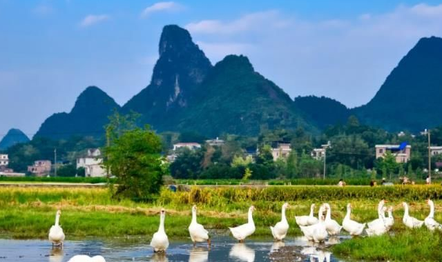 湘江_风光_历史