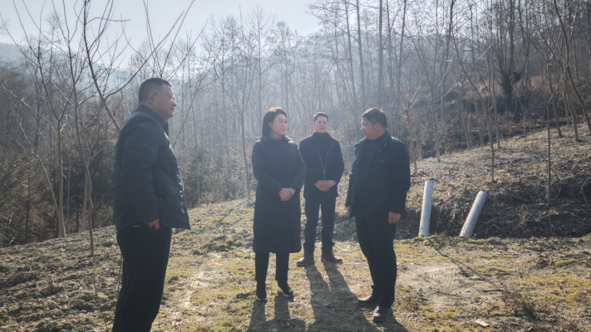 川渝政知 | 周福兰:把安全稳定放在第一位 坚决防范遏制重特大事故