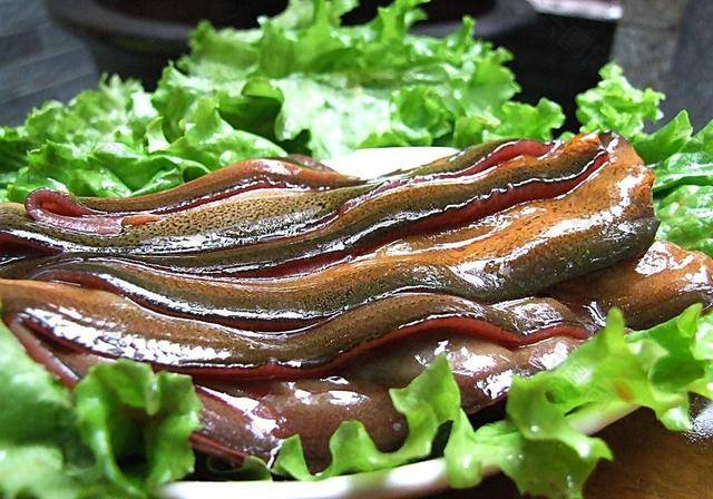 经常吃"鳝鱼"有啥用?医生:或能解决5个问题,但4种人要