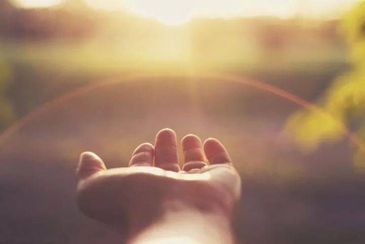 护阳温阳,养生大道,防病之要_阳气_人体_脏腑