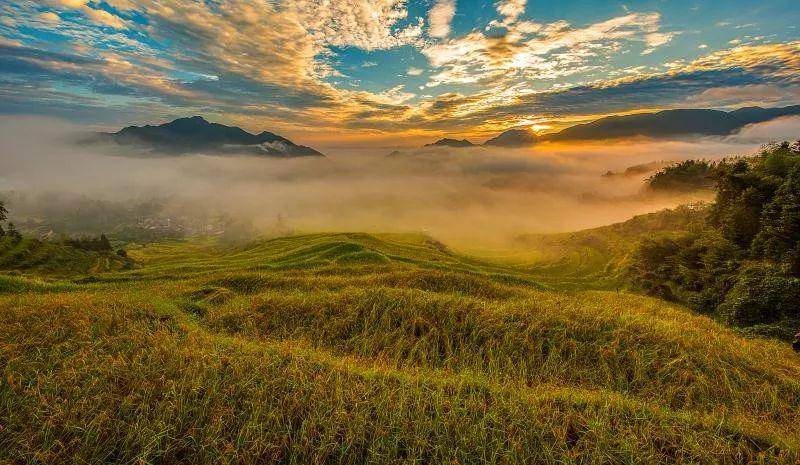 摄影之乡---浙江云和县_梯田_地方_湖畔