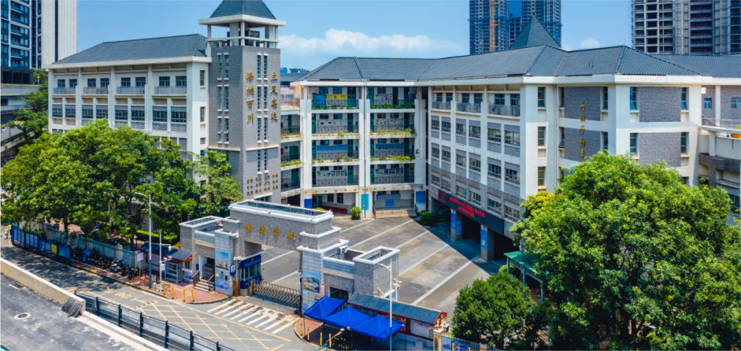 深圳前海哈罗港人子弟学校,维思顿国际蒙特梭利学院,深美国际学校