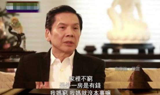 他创下的帮会也交由长子向华炎打理.