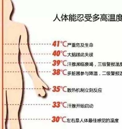 传统_因为_身体