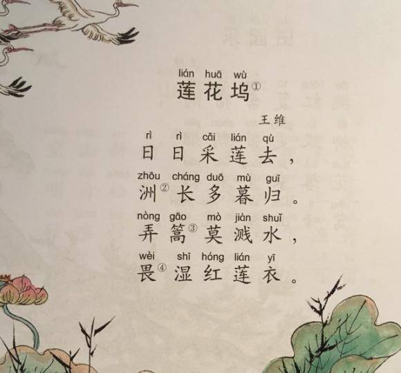 莲花_精神_时候