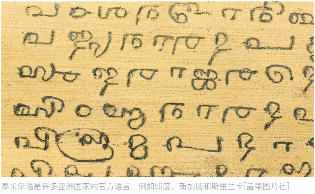 新加坡华人自小接受双语教育,学习自己本族的语言和英语.