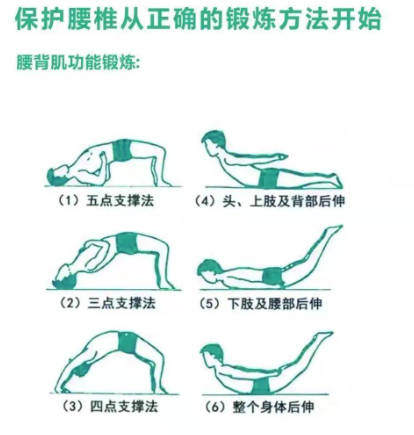 冈下肌锻炼方法图解图片