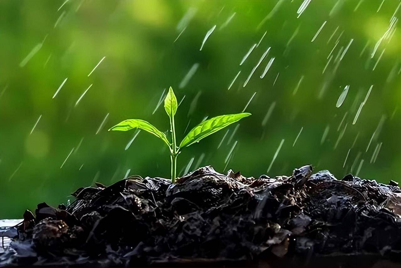 微雨细雨图片