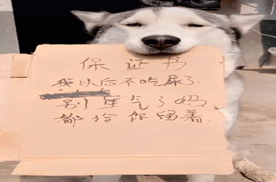 带着_东西_事情