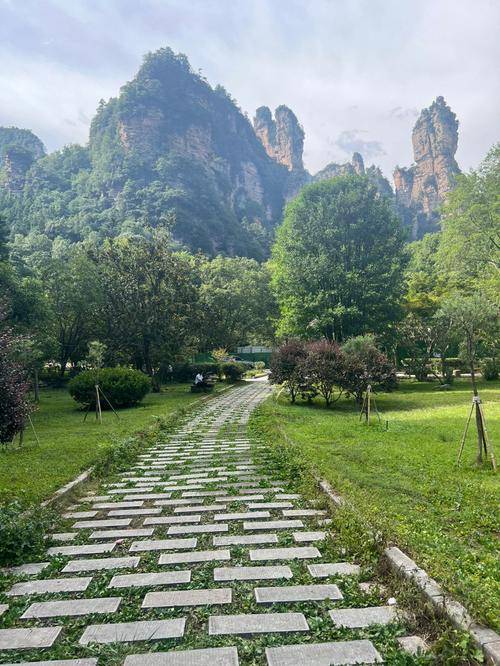 金鞭溪风景区图片