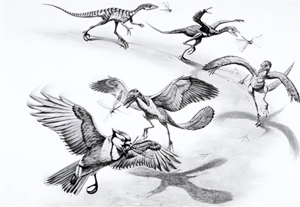 恐龙灭绝时间简笔画图片