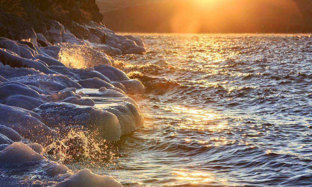 海豹_湖水_湖泊