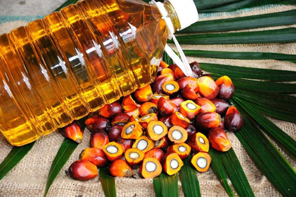 随着作物躲避厄尔尼诺的影响,棕榈油产量将上升