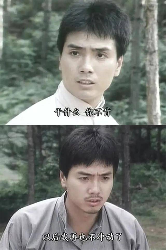 《再向虎山行》十大高手,南沧海,北铁山,一岳擎天绝世间_容宽_姜文英