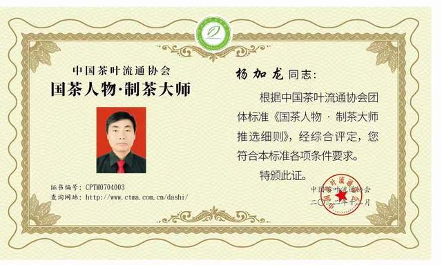 茶山上的茶老板们回"茶城"啦