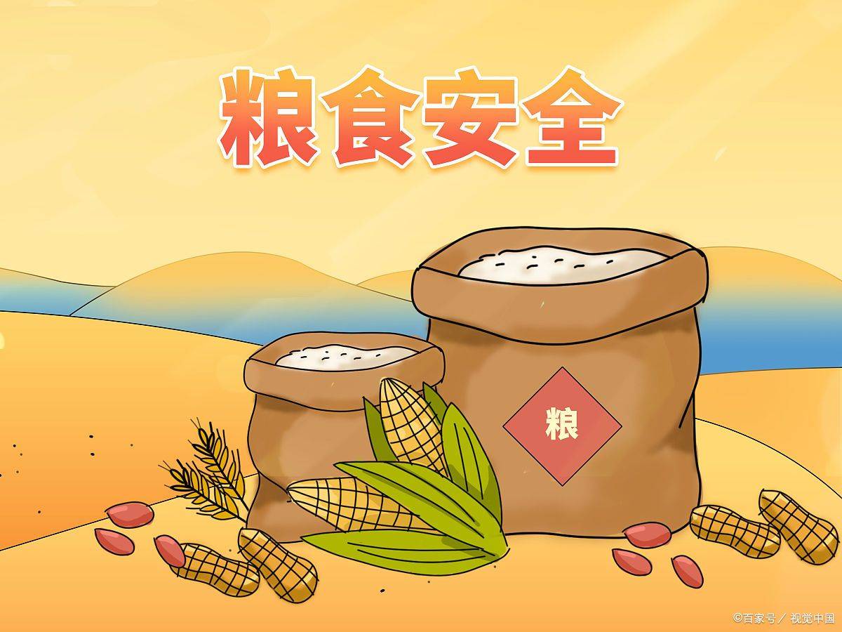 食品安全员证书：怎么考取 、报考时间、证书多久拿到手