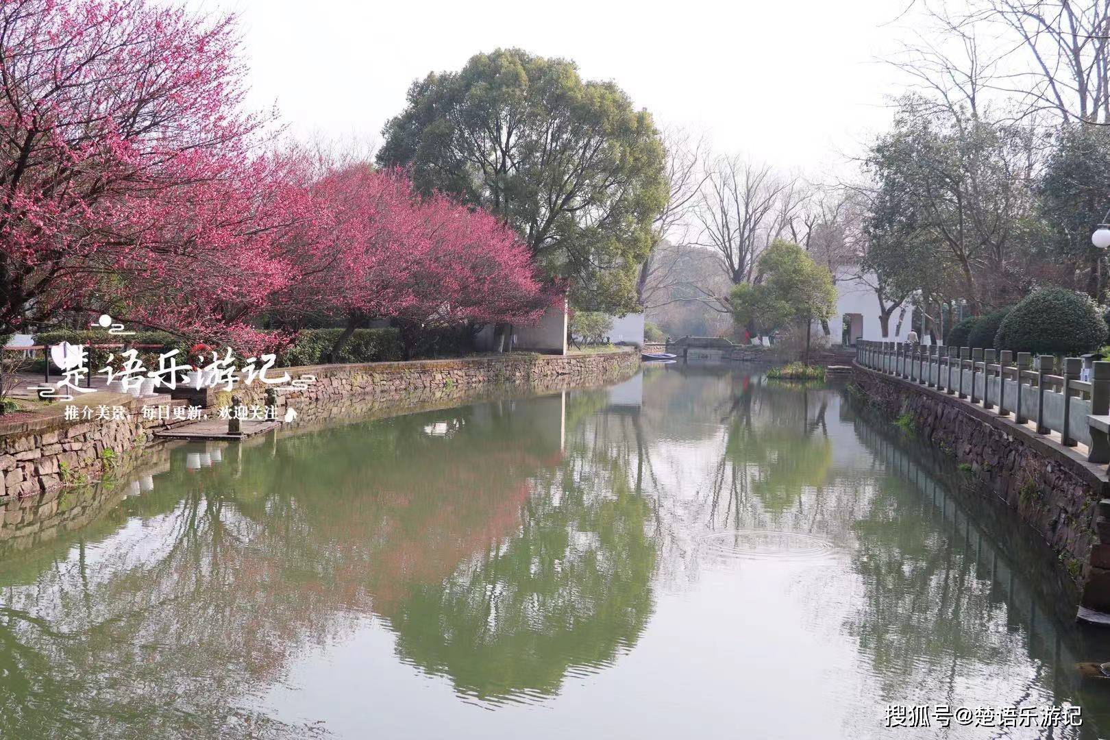 浙江宁波白云庄,少有人知却有绝美梅林,堪称宁波赏梅天花板