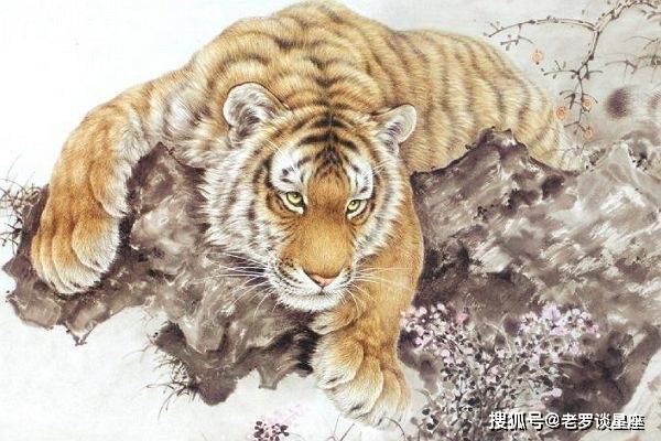 财源广进万事兴,财富堆成山,一生无忧愁的3大生肖_未来_贵人_朋友