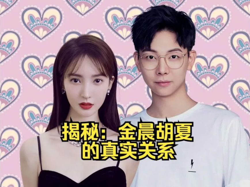 胡夏金晨恋情疑实锤.媒体曝胡夏去金晨家拜年，网友却劝胡夏分手