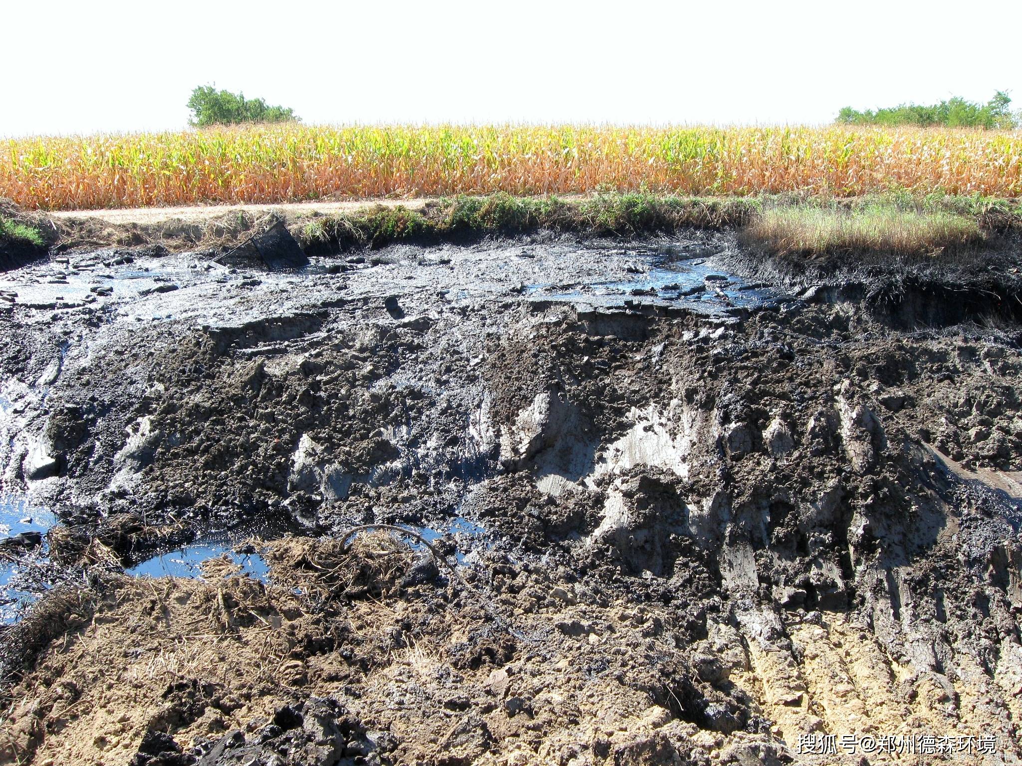 污泥处理行业获得快速发展,ds油泥淋洗处理设备杀出重围