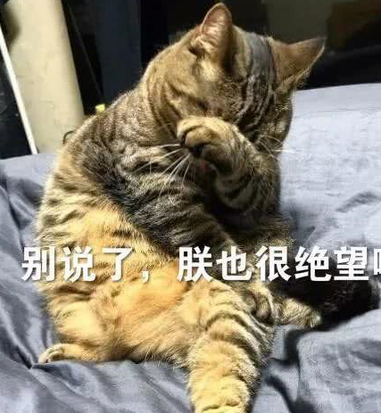 最易胖的才不是橘猫,有图有真相_mitzi_猫咪_生活
