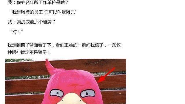 《欢乐喜剧人6》里的白鸽人设崩塌,照搬天才小熊猫的段子引争议_作品