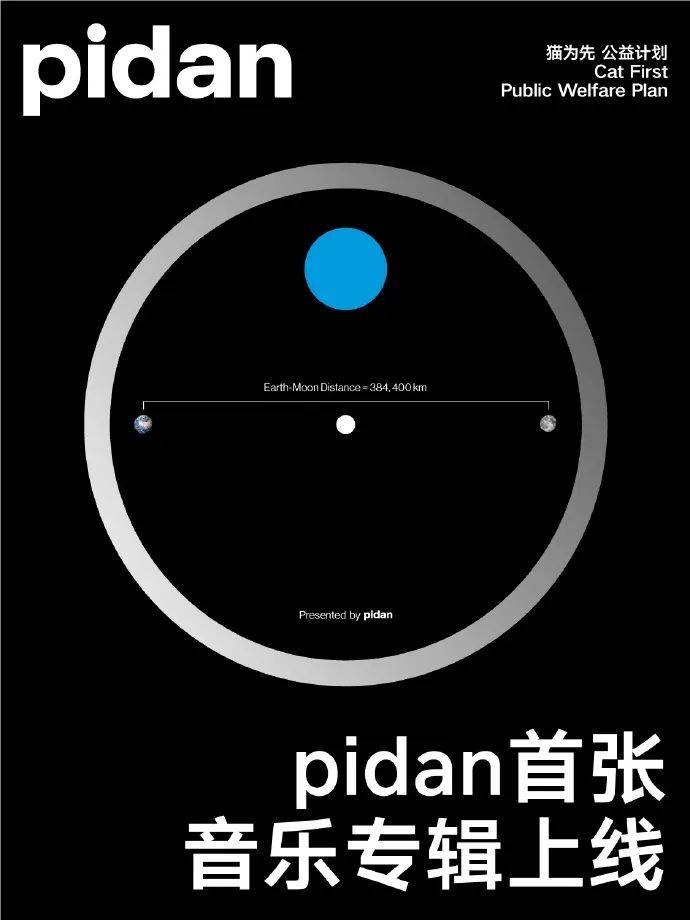 只和小猫有关,pidan 特别邀请了五组音乐人朋友「椅子乐团thechairs」