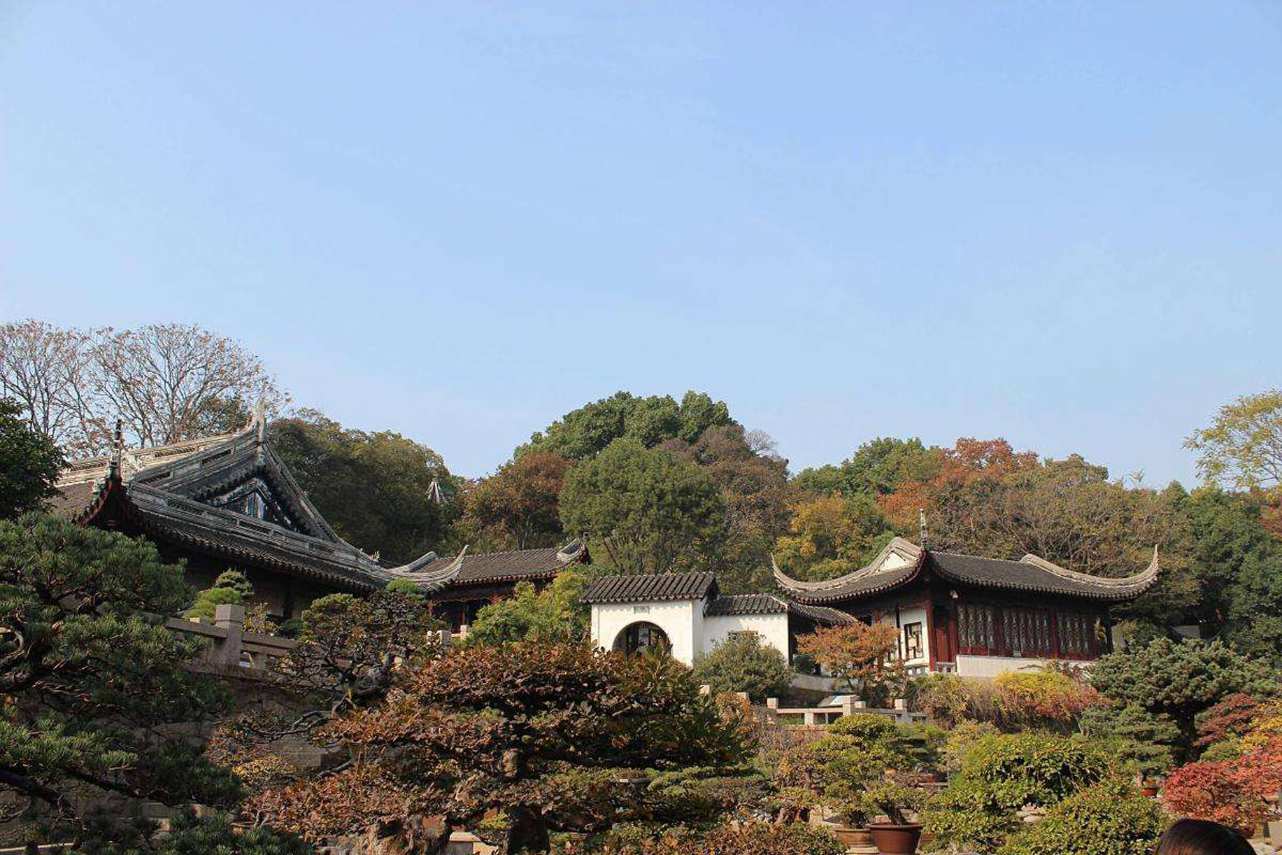 江苏的代表性名山之一,被打造成5a级的山川景区,是省级风景区_虎丘