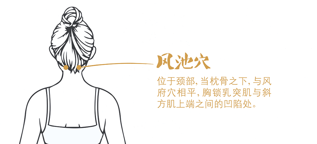 1风池穴足少阳胆经腧穴,在项部,枕骨之下,胸锁乳突肌上端与斜方肌上端