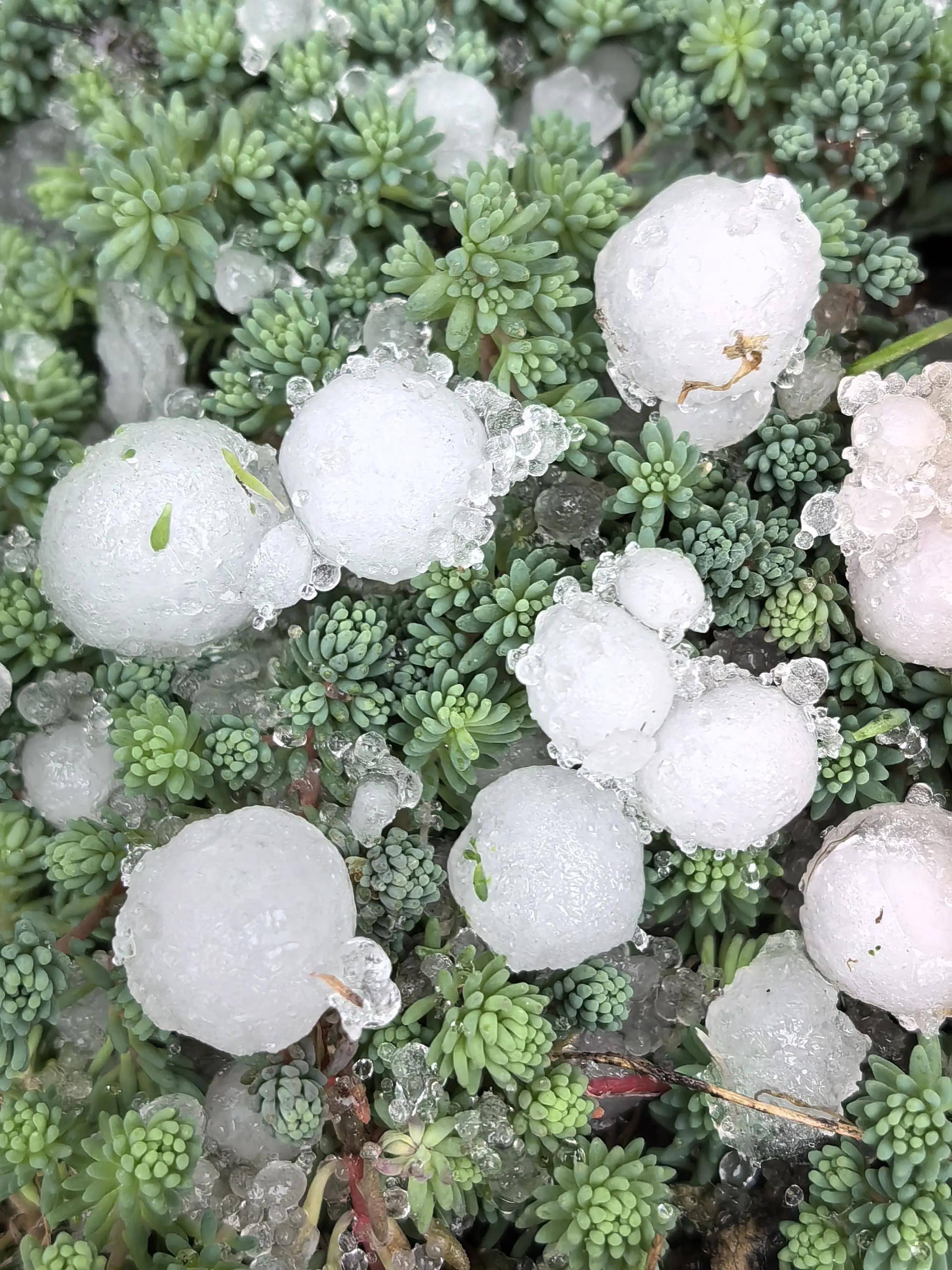 湖北宜昌:一夜凍雨落,低山又結冰,出門需防寒,出行需防滑_老漢_冰雹