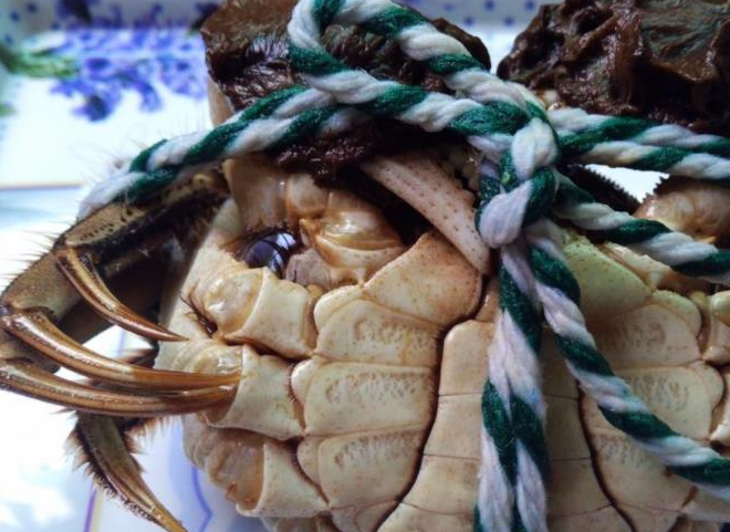 越南这种螃蟹一只10元,路人却只看不买,吃货:错过可惜了_绳子_蟹黄