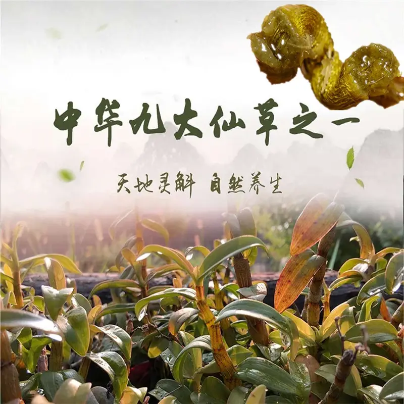 种植_自然_环境