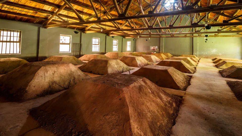 古井贡酒年份原浆1979年窖的"酿造密码"_酿酒_千年_车间