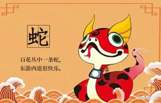 最后,祝咱们属蛇的朋友们,无论哪个月出生,都能日子过得红红火火,事业