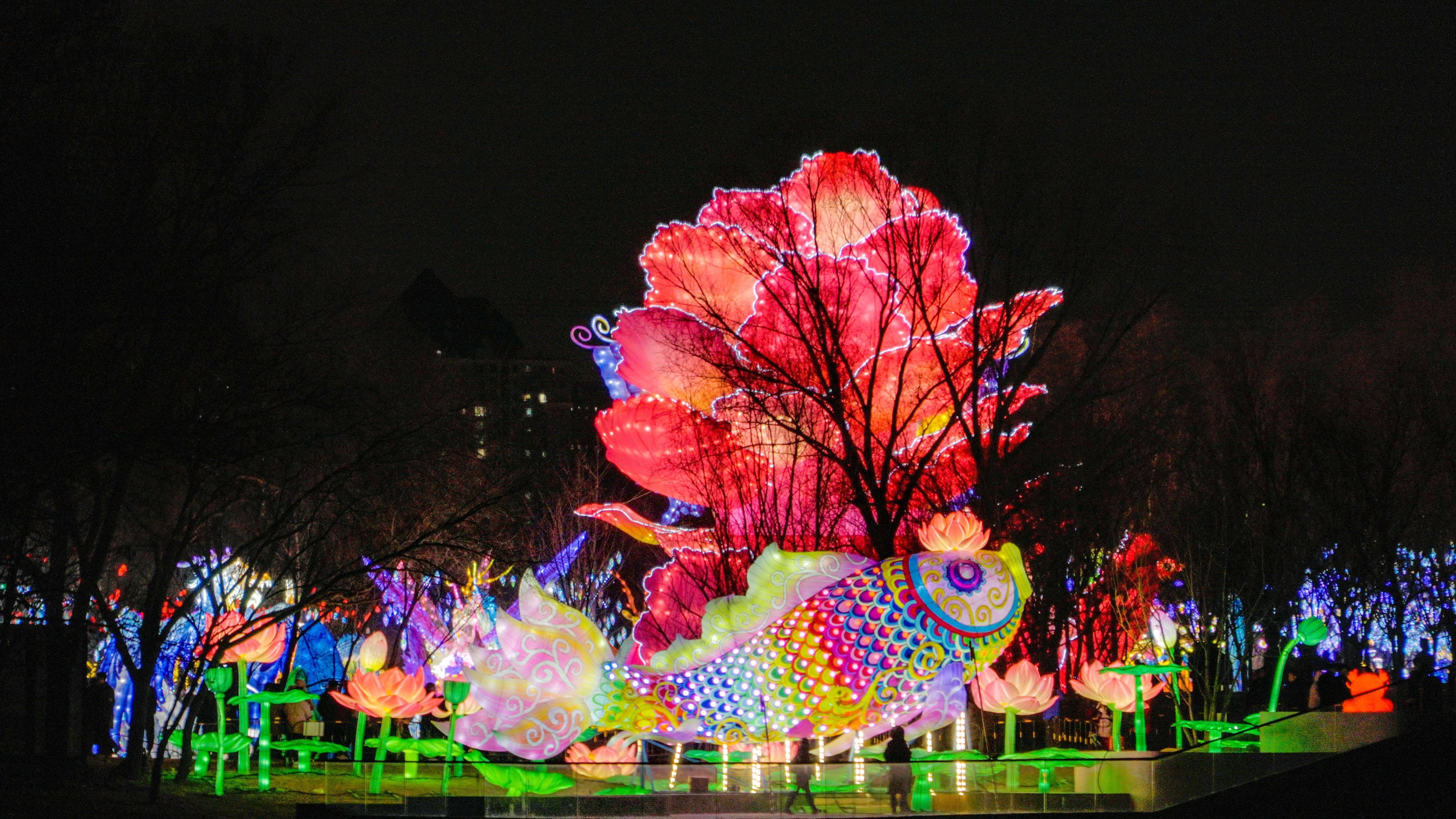 彩灯夜景图片真实图片图片