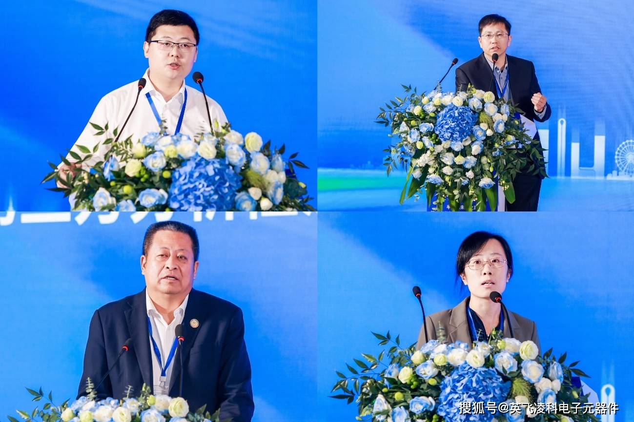 图四:上海汽车芯片工程中心失效分析总监黄亚敏上海安路信息科技