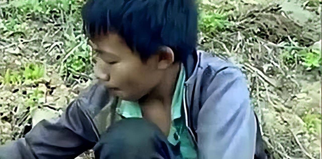 2007年广西男童靠吃野菜过活,7年后获500万善款,他