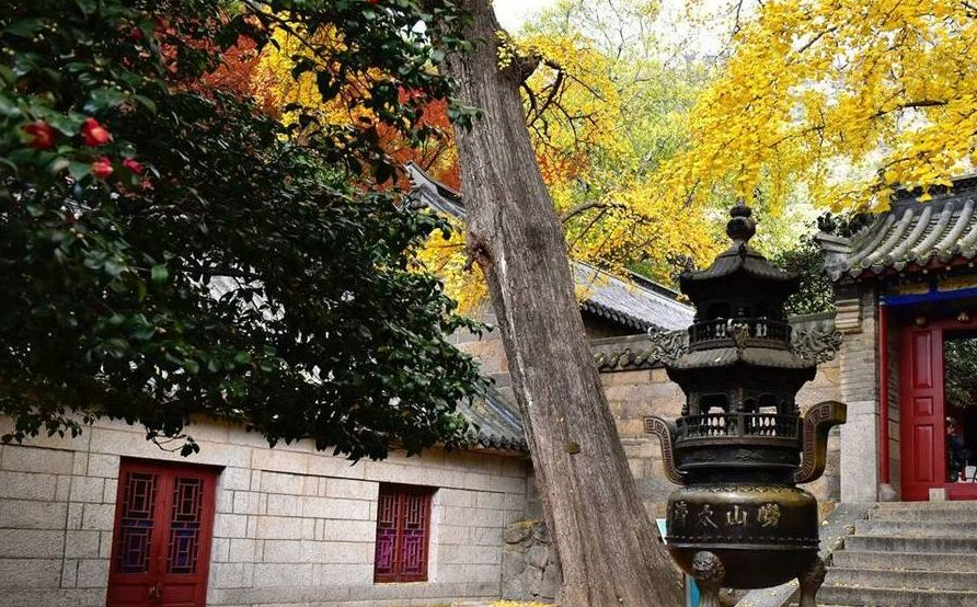 唐昭宗天佑元年(公元904年),罗浮山道士李哲玄来崂山太清宫,建三皇殿