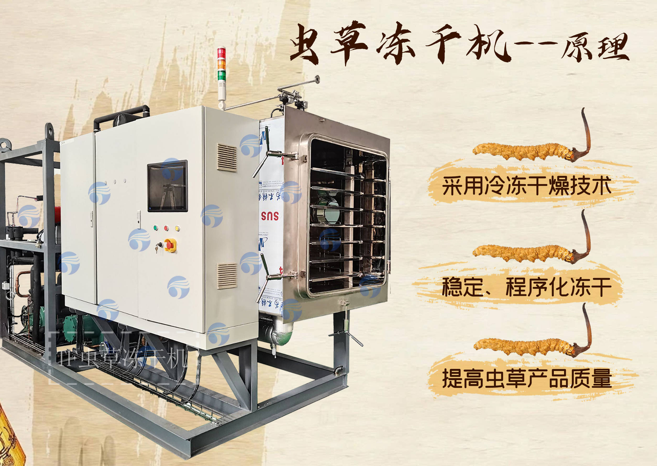 虫草冻干机:提高虫草保存与产品质量的利器_温度_过程_加工